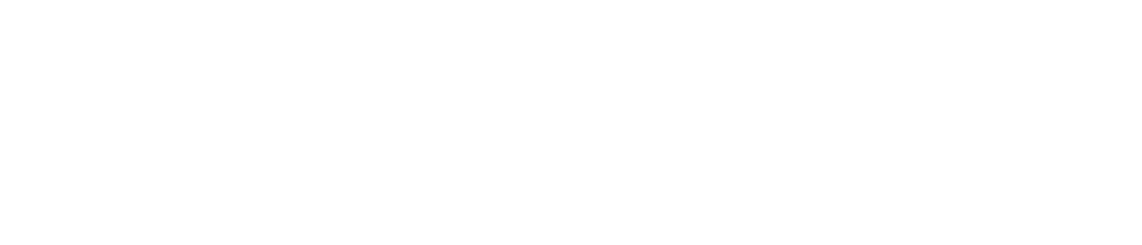 Quick Shot Paddles